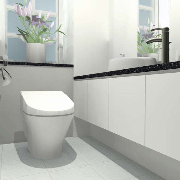 水戸市トイレリフォーム和式トイレ洋式トイレ株式会社岳備